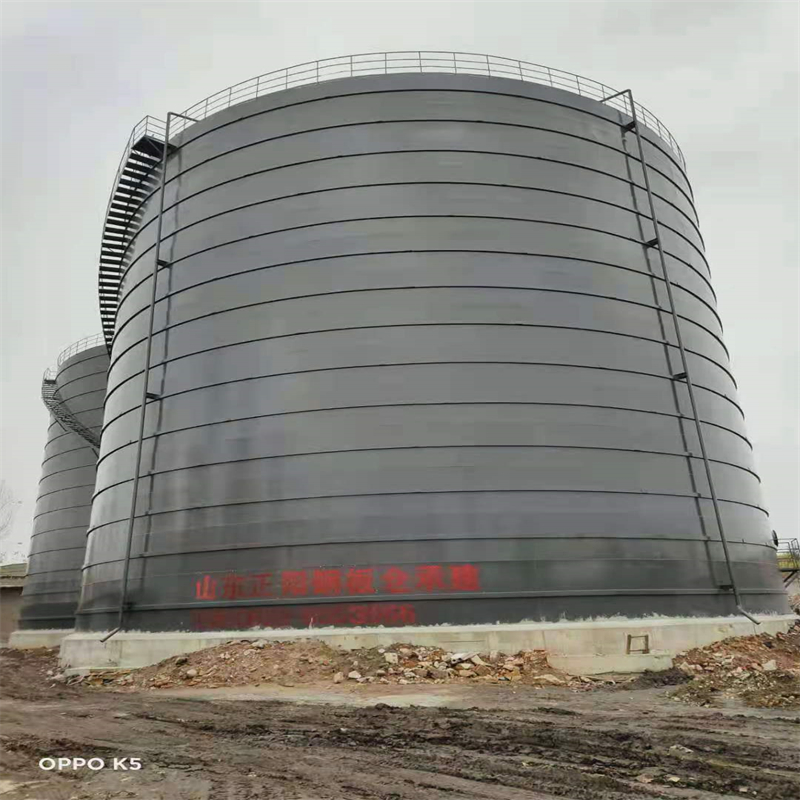 任县3万吨大型钢板库