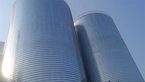 任县2座混凝土高架卷板仓